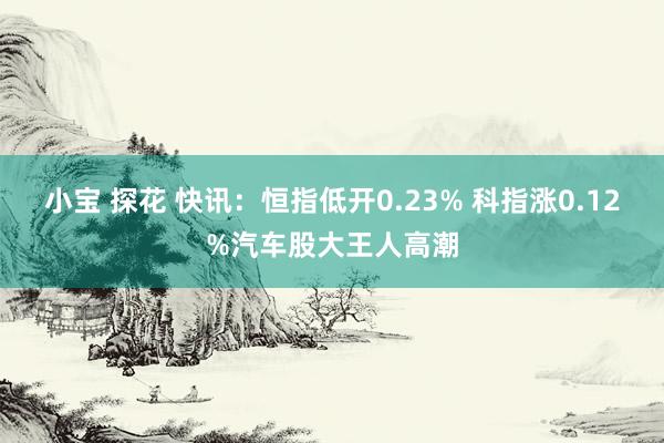 小宝 探花 快讯：恒指低开0.23% 科指涨0.12%汽车股大王人高潮