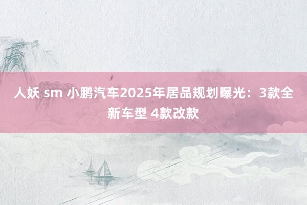 人妖 sm 小鹏汽车2025年居品规划曝光：3款全新车型 4款改款