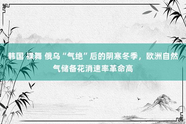 韩国 裸舞 俄乌“气绝”后的阴寒冬季，欧洲自然气储备花消速率革命高