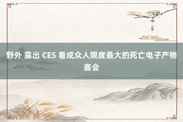 野外 露出 CES 看成众人限度最大的死亡电子产物嘉会