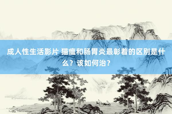 成人性生活影片 猫瘟和肠胃炎最彰着的区别是什么？该如何治？