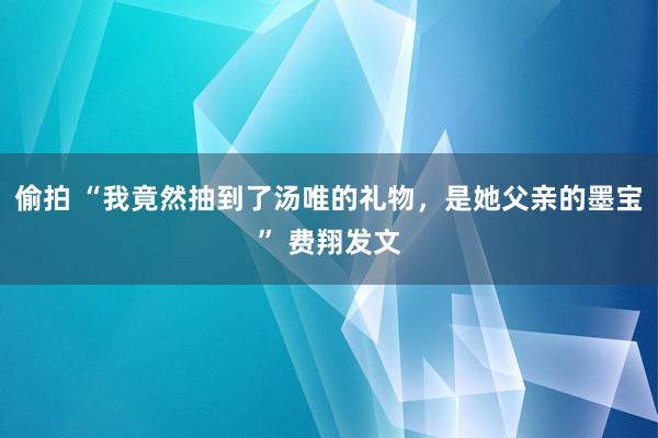 偷拍 “我竟然抽到了汤唯的礼物，是她父亲的墨宝” 费翔发文