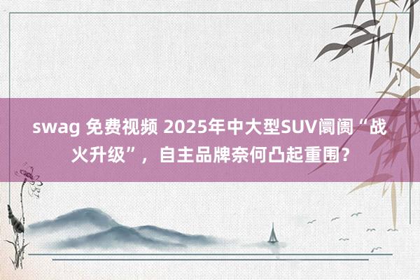 swag 免费视频 2025年中大型SUV阛阓“战火升级”，自主品牌奈何凸起重围？