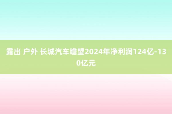 露出 户外 长城汽车瞻望2024年净利润124亿-130亿元